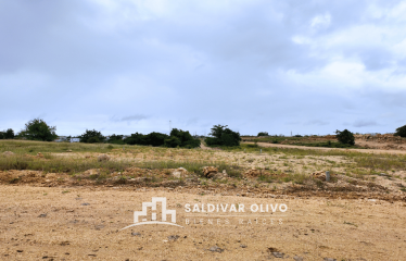 SOLAR EN VENTA PARA LOCAL COMERCIAL O PLAZA, EN SANTO DOMINGO ESTE