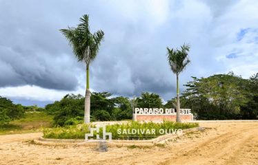 SOLARES CON SUS TITULOS, DE ESQUINA PARA USO COMERCIAL EN PARAISO DEL ESTE, CARRETERA MELLA.