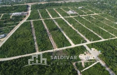 Aprovechas estos solares cerca de la Av. Ecológica