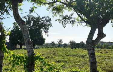 Proyecto de solares económicos en Santo Domingo Norte