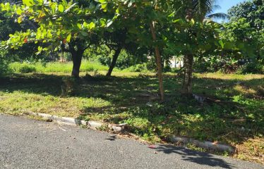 Aprovecha la oportunidad e invierte en tu solar